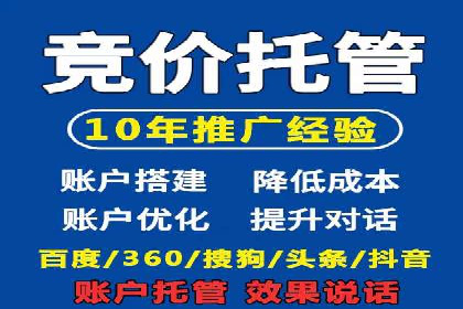 案例分析：高效信息流广告投放策略